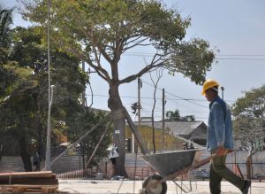 Es desolador, y caliente, el panorama que se puede observar a través de distintas grietas en los muros de alrededor de la Plaza.
